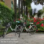 Delle Palme 3*