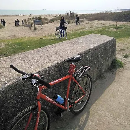 Delle Palme Lido di Venezia