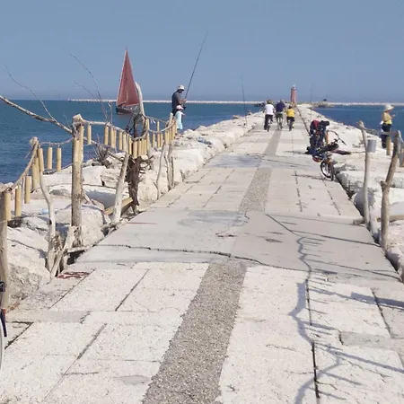 Delle Palme Hotel Lido di Venezia