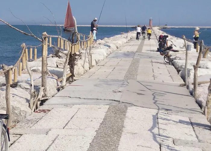 Delle Palme Hotel Lido di Venezia