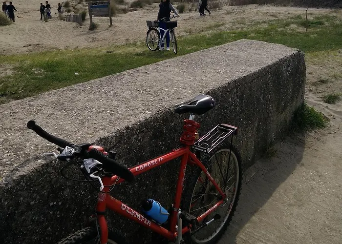 Delle Palme Отель